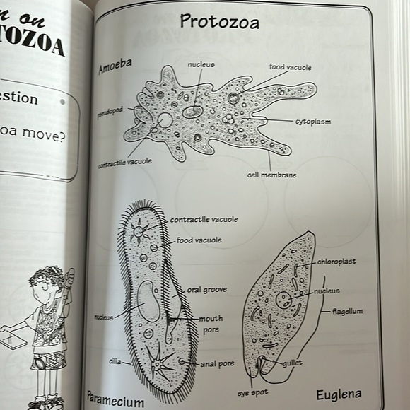 Magnificent Microworld Adventures: Microscopic Topics by AIMS - Picture 3 of 9